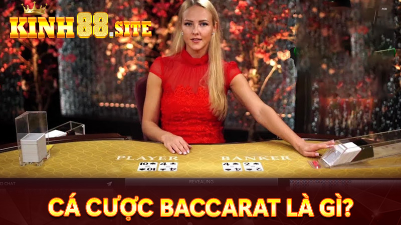 Cẩm nang chung về sảnh game cá cược baccarat là gì?